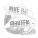 whale watching hervey bay